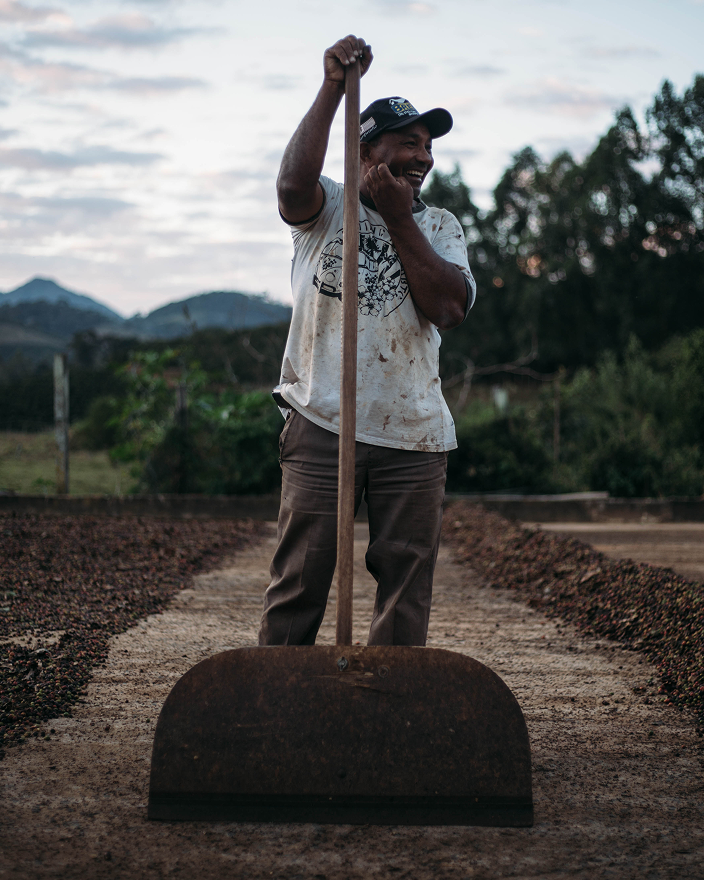 Sol, cuidado e paciência